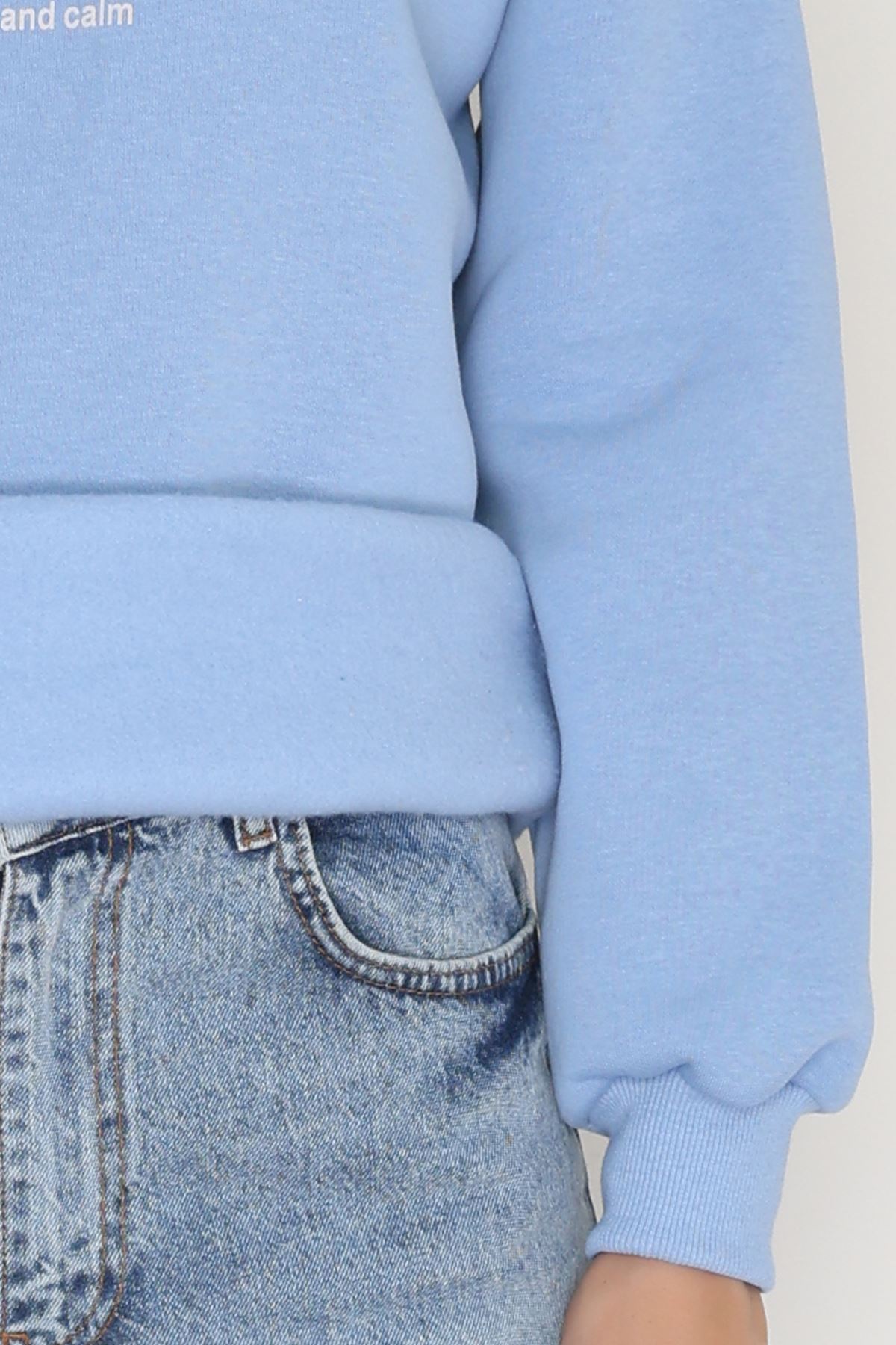 3 İplik Bisiklet Yaka Sweat Bebemavi - 42237.1878.