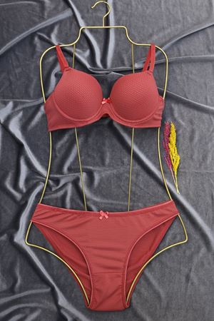 Küçük Petek Sütyen Takım Dolu Kap Kiremit - 2526.1783.