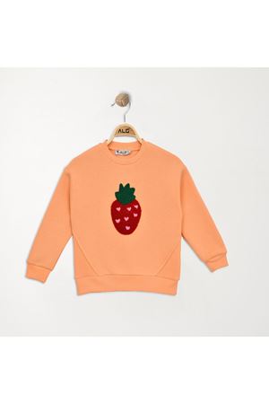 3-7 Yaş Üç İplik Baskılı Sweat Somon - 625407.1576.