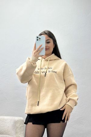 3 İplik Kapşonlu Nakışlı Sweat Bejkahve - 42226.1878.