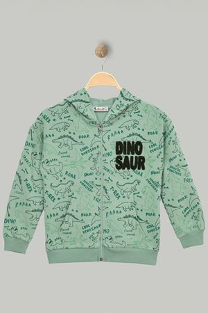 3-7 Yaş Nakışlı Kapşonlu Sweat Yeşil - 225604.1576.