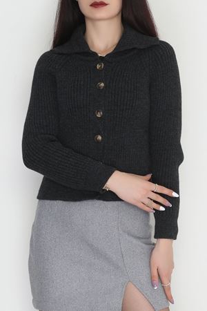 Polo Yaka Triko Hırka Antrasit - 2283.1765.