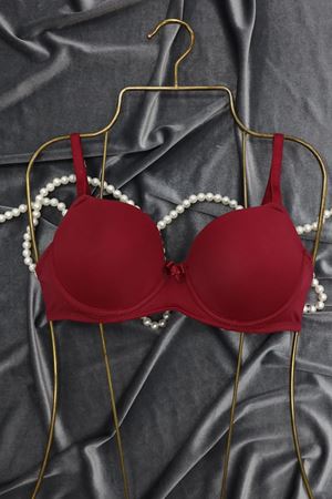 Sütyen Mikro Tek Boş Kulaklı Bordo - 2511-B.1783.