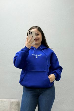 Kadın Üç İplik Kapşonlu Nakışlı Sweat Saks Model TV-101527
