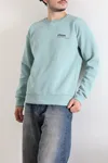 Bisiklet Yaka Baskılı Şardonlu 3 İplik Erkek Sweat Suyeşili